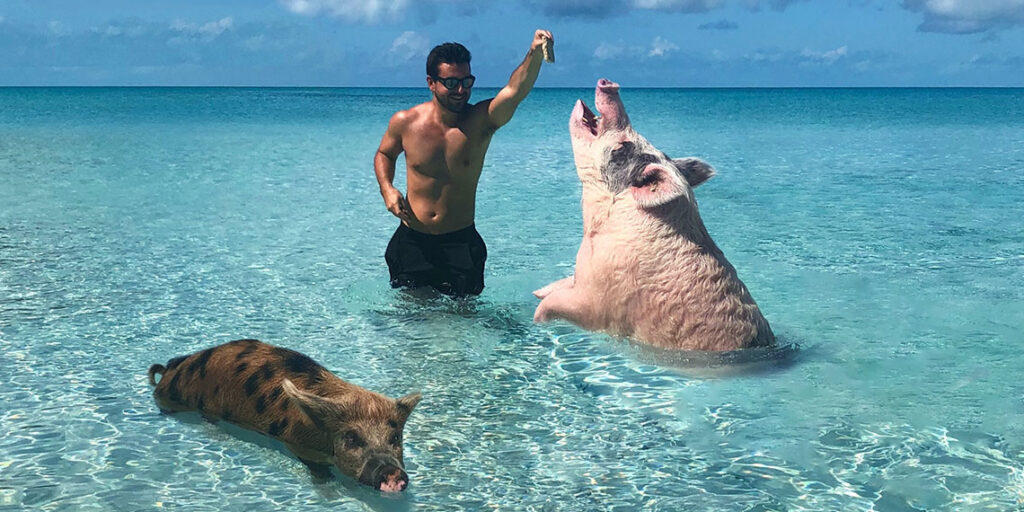 Swim with Pigs in the Bahamas