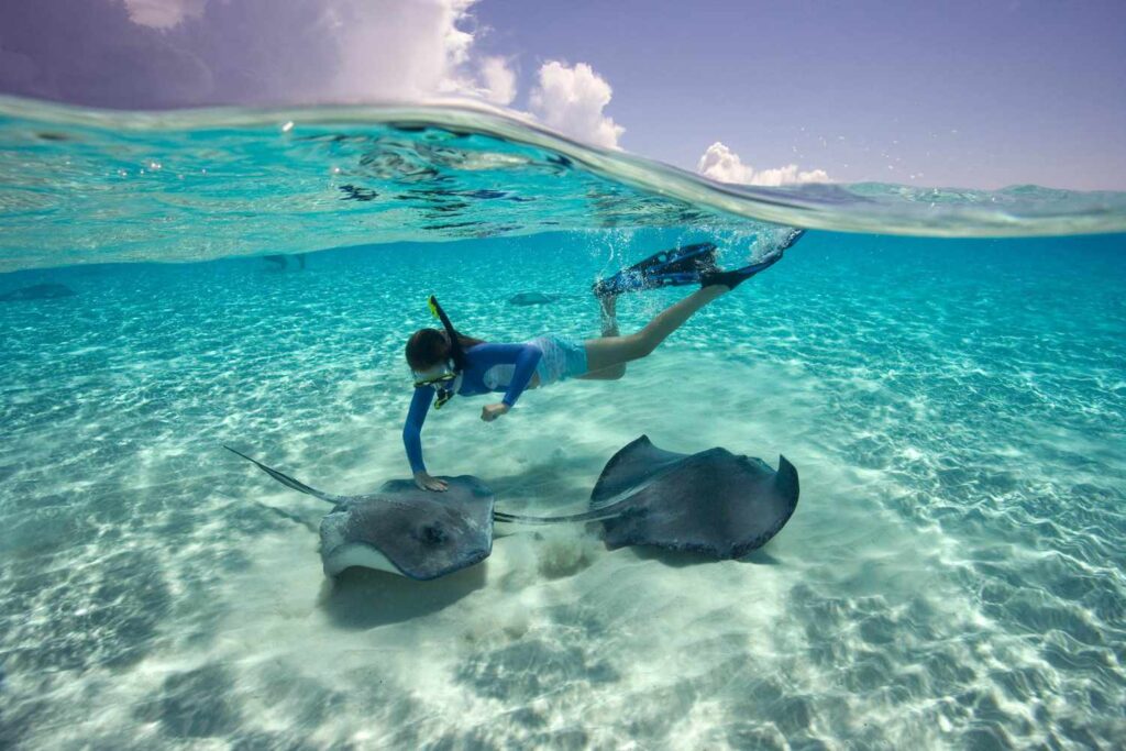 Swimming with Stingrays at Cayman Island 